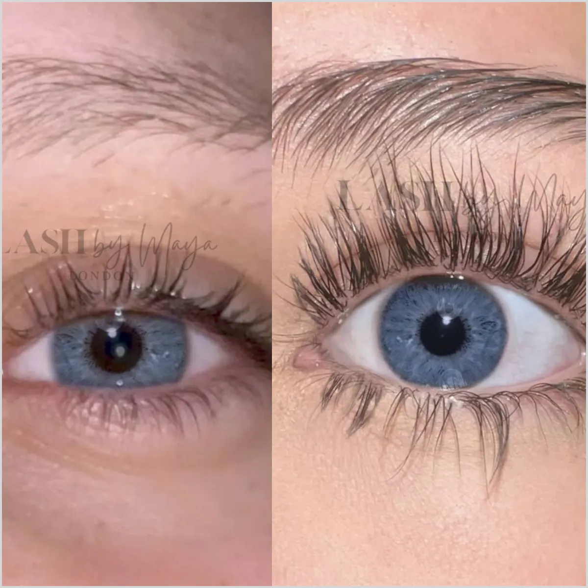 Lash by Maya Eyelash Growth Serum - Made in UK